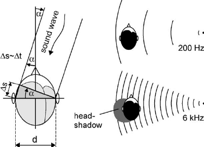 Interaural differences used to distinguish low and high frequency sounds